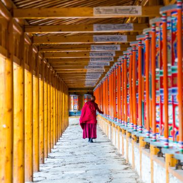 甘南+江迭路+拉卜楞寺+扎尕那+若尔盖花湖生态旅游区9日8晚私家团