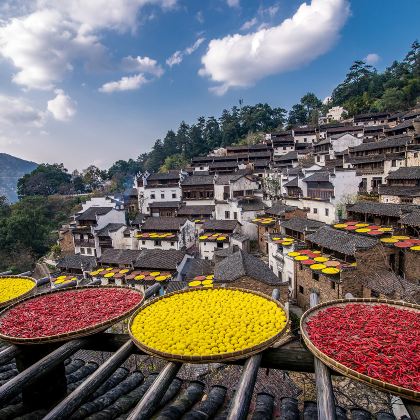 江西婺源+三清山2日1晚跟团游