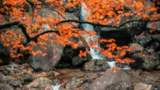 川西秘境：稻城亚丁秋日童话全攻略