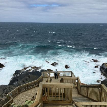 澳大利亚阿德莱德+克莱兰德野生动物园+澎湃粉红湖+索芙特羊驼牧场+黛伦堡魔方+旗舰拱门+南澳美术馆+洞穴花园11日9晚私家团