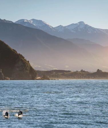 10D9N • South Island