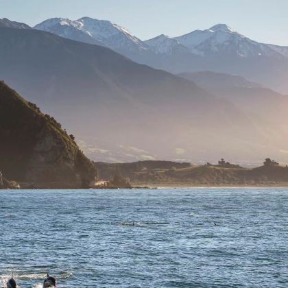 新西兰南岛10日9晚跟团游