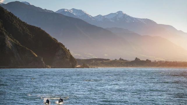 <10日>【双冰川峡湾 | 凯库拉观鲸】新西兰南岛·约瑟夫冰川+福克斯冰川+凯库拉观鲸、皇后镇住2晚4钻+住2晚星空保护区、⿊⾦鲍+特色龙虾+岩⽯烧烤+西式⽺腿、瓦纳卡湖+库克山+神仙企鹅归巢+千层岩