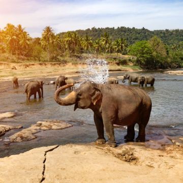 斯里兰卡+马尔代夫8日7晚私家团