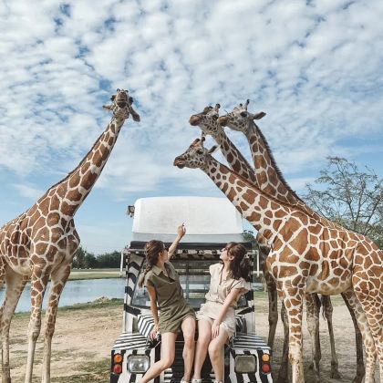 泰国曼谷+芭堤雅+普吉岛8日7晚私家团