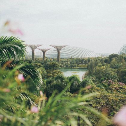 新加坡+马来西亚4日3晚私家团