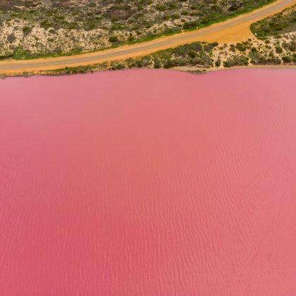 澳大利亚珀斯+卡尔巴里+罗特尼斯岛6日5晚私家团