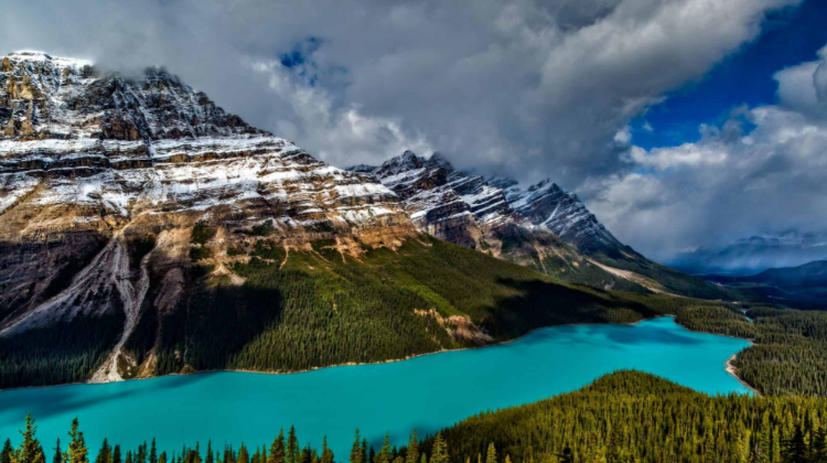 2-Day Canadian Rockies National Parks Express Tour·Calgary, Banff and Yoho | Bow Lake, Columbia Icefield & Moraine Lake | YYC Dropoff