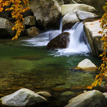 光雾山旅游景区+米仓山国家森林公园+阆中古城5日4晚私家团