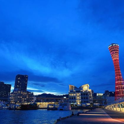 日本6日5晚私家团