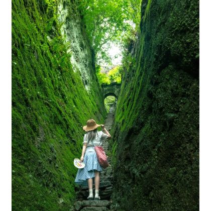 武夷山+九曲溪竹筏漂流3日2晚私家团