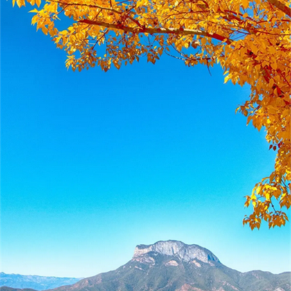 云南昆明+大理市+丽江+香格里拉+泸沽湖+西双版纳12日11晚跟团游