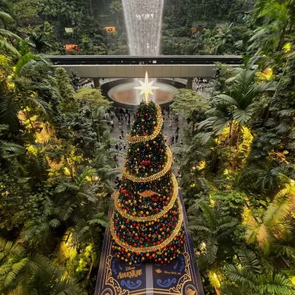 新加坡+夜间野生动物园6日5晚私家团