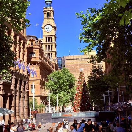 澳大利亚12日9晚私家团