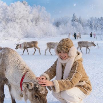哈尔滨+漠河7日6晚私家团
