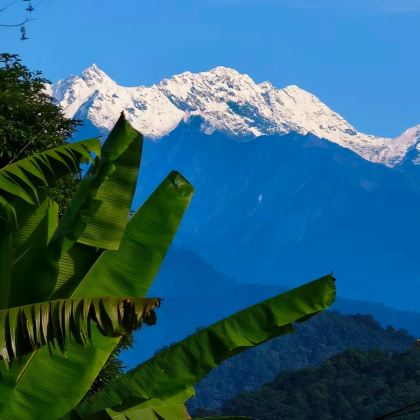 拉萨+林芝+来古冰川+墨脱+纳木措景区+羊卓雍错+布达拉宫11日10晚私家团