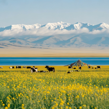 青海湖景区+鸣沙山月牙泉+张掖七彩丹霞旅游景区+嘉峪关关城8日7晚私家团