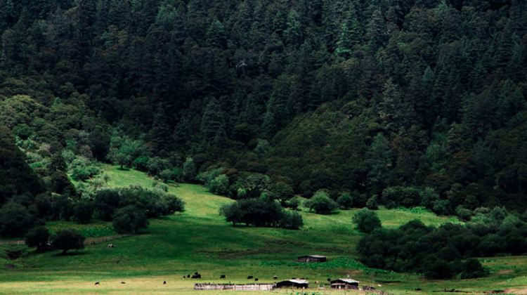 6D5N · Group Tours · Yunnan: Lijiang + Dali + Shangri-La + Jade Dragon Snow Mountain