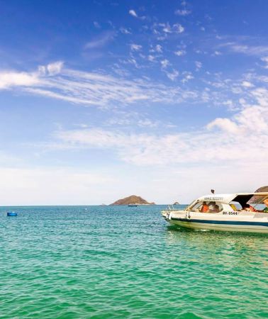2D1N • Con Dao: Bay Canh Island 2-Day Turtle Nesting Tour