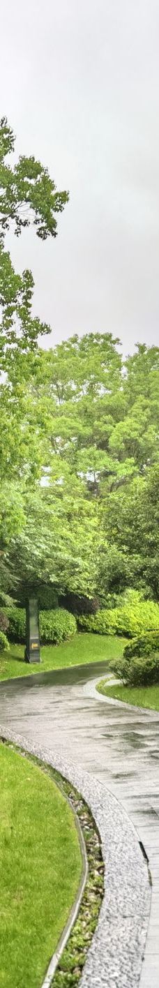 九华山大愿文化园-青阳