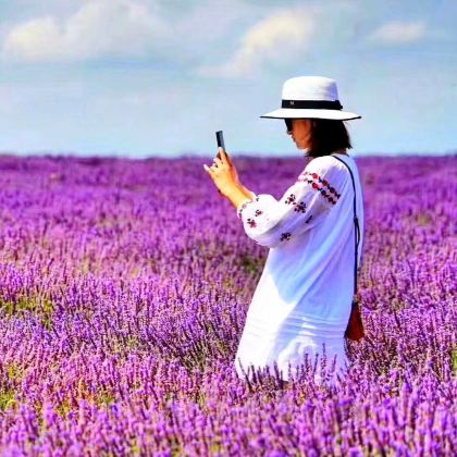 法国尼斯+圣米歇尔山+勃朗峰+勃艮第葡萄酒产区+圣十字湖+巴黎12日10晚跟团游