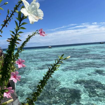 吉隆坡+沙巴仙本那7日6晚私家团