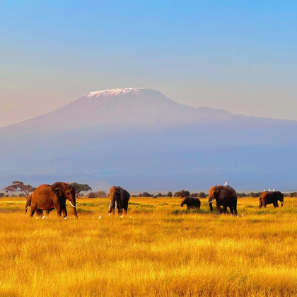 肯尼亚安博塞利国家公园+马赛马拉国家保护区10日9晚私家团