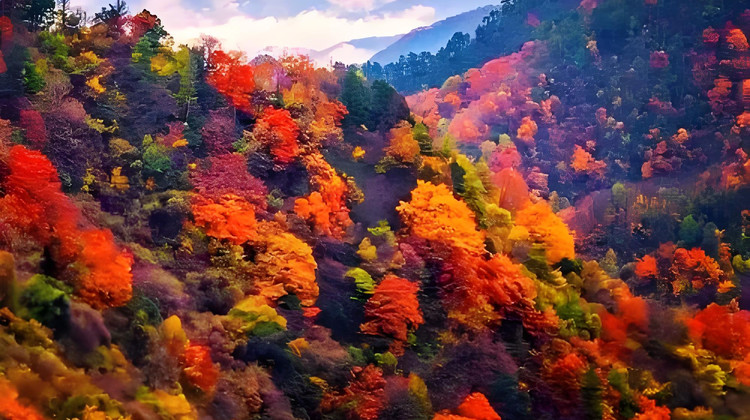 寶雞黃柏塬+大嶺云海+佛坪熊貓谷旅游區(qū)+華陽古鎮(zhèn)+黎坪森林公園4日3晚私家團