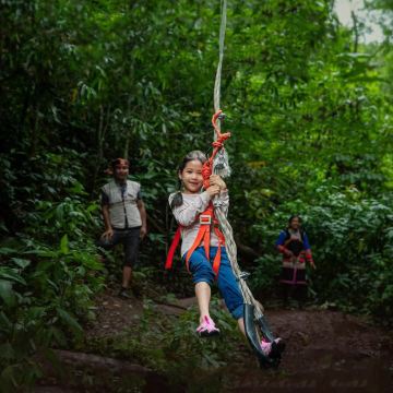 云南西双版纳+普洱6日5晚拼小团