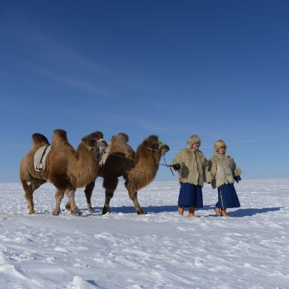 呼伦贝尔大草原4日3晚跟团游