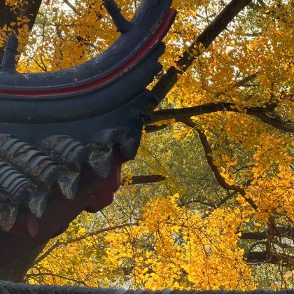 泰州+千垛景区+常州+青果巷+南通狼山风景名胜区7日6晚私家团