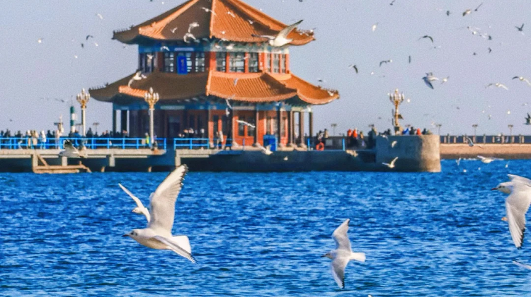 7D6N · Group Tours · Jinan + Tai'an + Qvfu + Qingdao + Weihai + Yantai. Explore Shandong's unique landscapes and rich historical heritage.