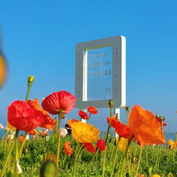 泉州+云水谣景区+福建土楼(南靖)景区5日4晚私家团