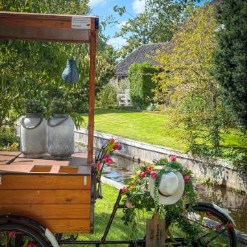 荷兰12日10晚跟团游 荷兰12日10晚跟团游