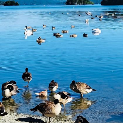 英国伦敦+剑桥+温德米尔镇+爱丁堡+约克+苏格兰高地+天空岛12日11晚拼小团