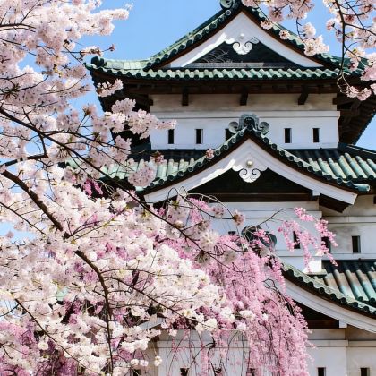 日本青森市+盛冈6日5晚私家团