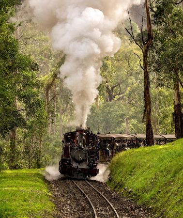 5D4N • Melbourne + Puffing Billy Railway + Phillip Island + Great Ocean Road & 12-14 person premium small group & Itinerary can be customized & hotel of your choice