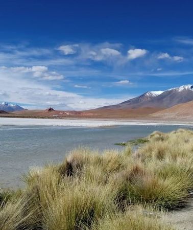 2D1N • 2-Days Uyuni Salt Flats including Laguna Colorada