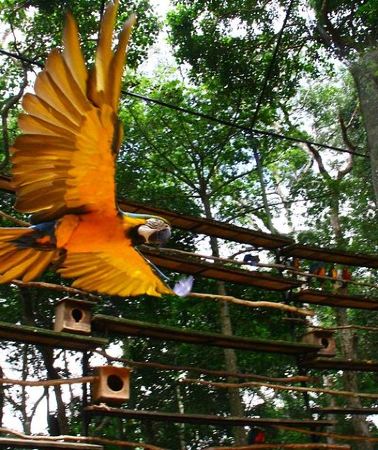 3D2N • 3 Days and 2 Nights 3 Stars Hotel Iguassu Falls - Private Tours