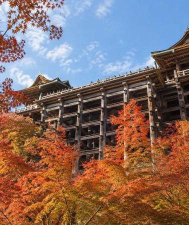 2D1N • Kyoto 2-Day: Fushimi Inari at Dawn, Gion & Arashiyama Bamboo