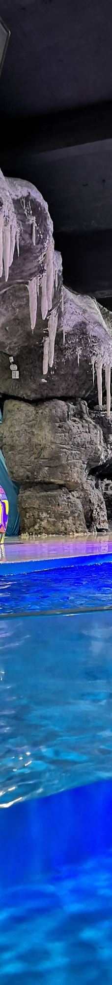 郑州海洋馆-郑州