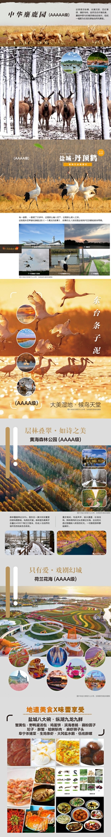 江苏盐城 丹顶鹤湿地生态旅游区 中华麋鹿园 条子泥景区 黄海森林公园