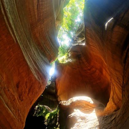 西安+延安6日5晚私家团