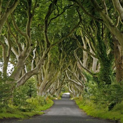 英国北爱尔兰+巨人之路+黑暗树篱+卡里克索桥+康洛赫+沃德城堡3日2晚私家团
