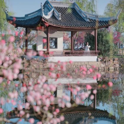 南京+镇江+扬州+泰州+兴化+无锡10日9晚私家团