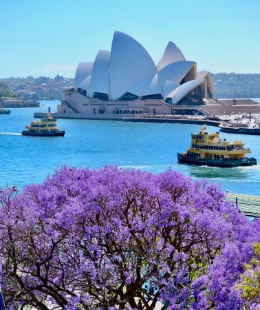 7D6N • Australia + Sydney + Blue Mountains National Park + Sydney Fish Market