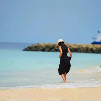 大连+旅顺口区+大连金石滩国家旅游度假区5日4晚跟团游