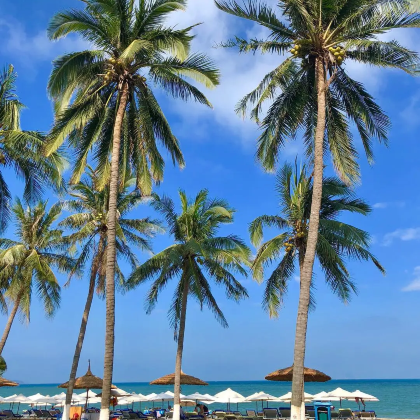 越南胡志明市+芽庄6日5晚自由行