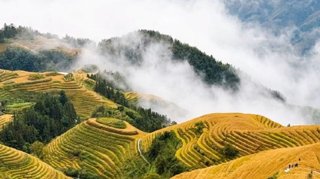 5-Day Guilin & Yangshuo Discovery Private Tour·Li River, Yulong River Bamboo Raft, Longji Rice Terraces and Elephant Trunk Hill