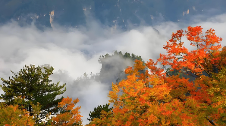 川西亲子游旅行社推荐：2025年五强口碑榜单